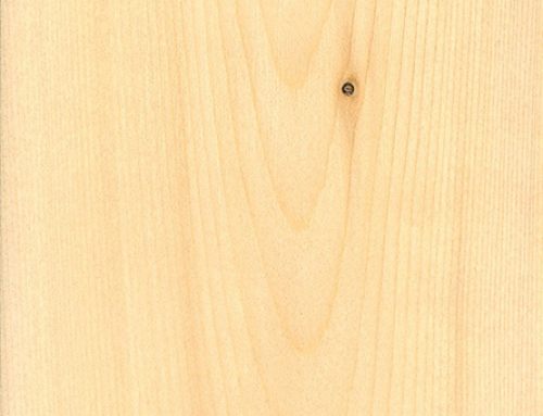 parana-pine-the-wood-database-lumber-identification-softwood