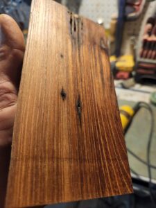 Hardwood Anatomy | The Wood Database