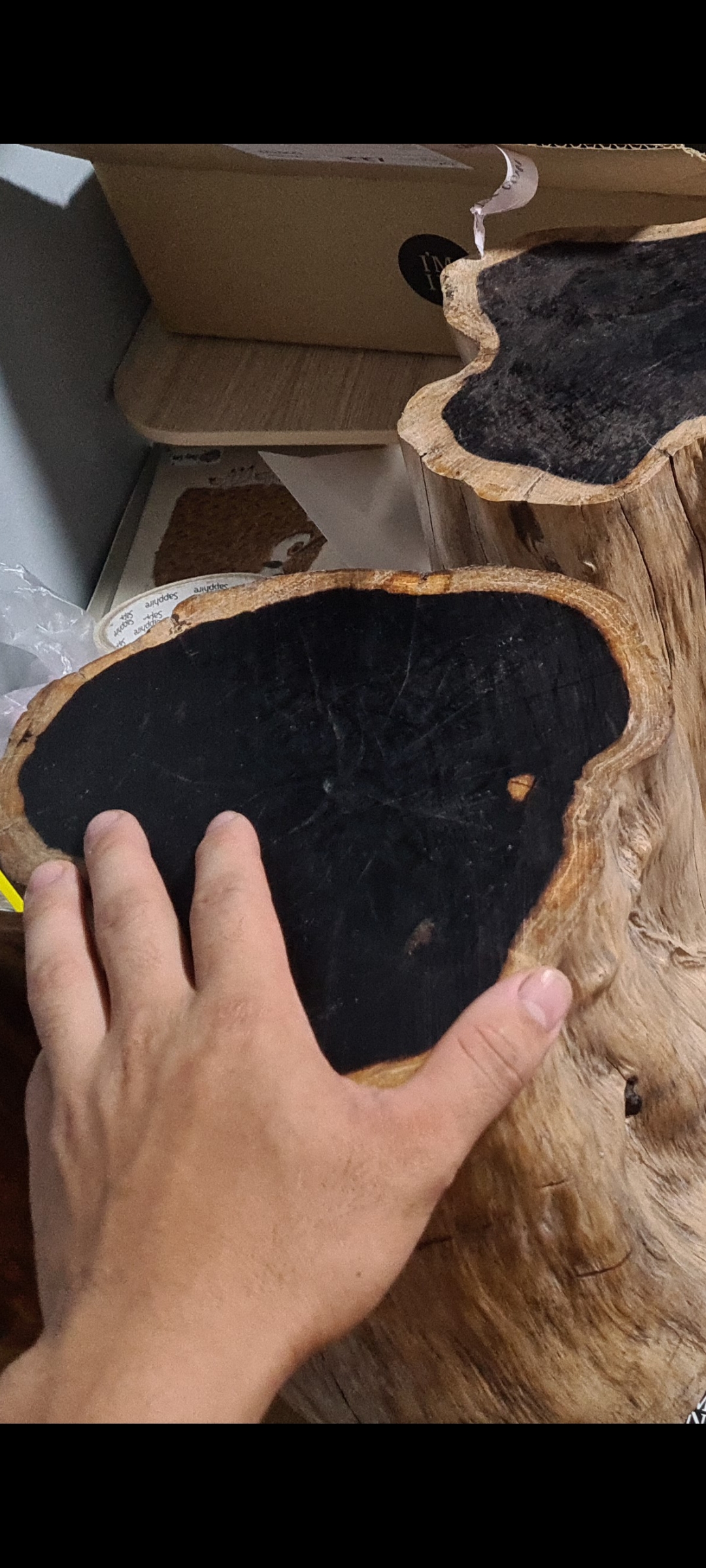 Black Jack! Dry Gabon & Nigerian Ebony Lumber – Cook Woods