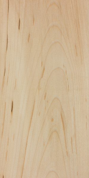 Black maple | The Wood Database (Hardwood)