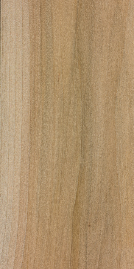 maple wood