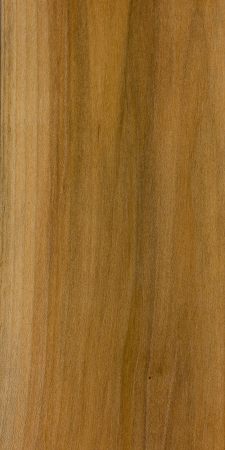 Soft Maple | The Wood Database - Lumber Identification (Hardwood)