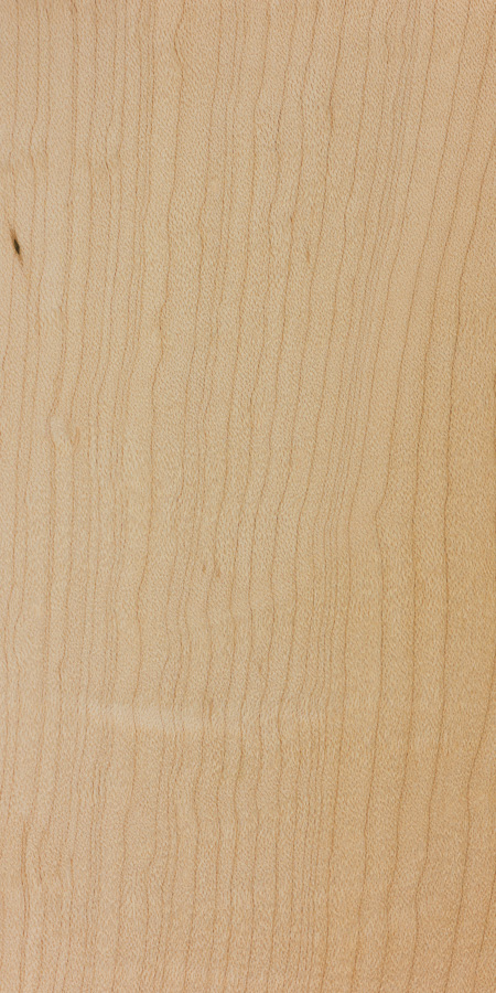 Hard Maple  The Wood Database (Hardwood)
