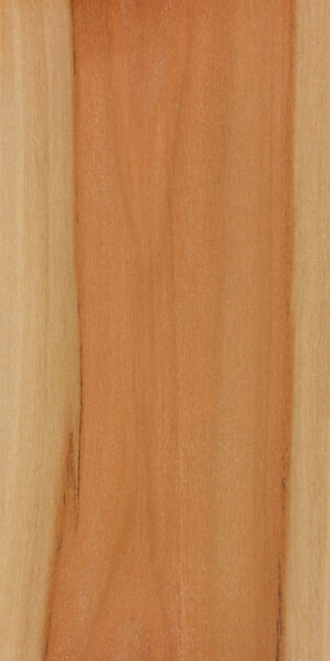 Pink Ash | The Wood Database (Hardwood)