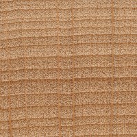 American Beech (endgrain 10x)