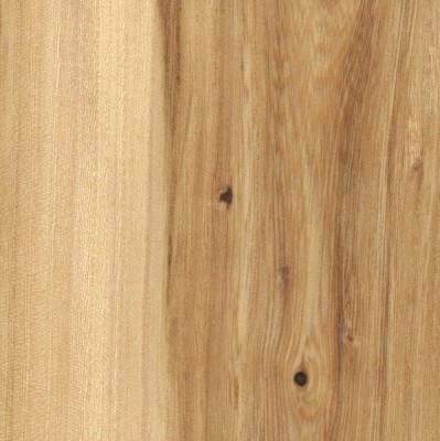 American Elm | The Wood Database (Hardwood)