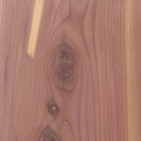 Eastern Red Cedar  The Wood Database (Softwood)