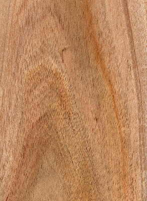 Shittim | The Wood Database (Hardwood)