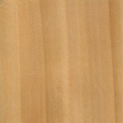 Black Willow | The Wood Database (Hardwood)