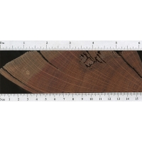 buloke australian wood endgrain database