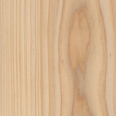 Cypress | The Wood Database - Lumber Identification (Softwood)