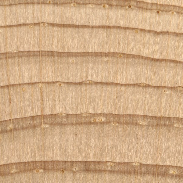 Northern White Cedar  The Wood Database (Softwood)