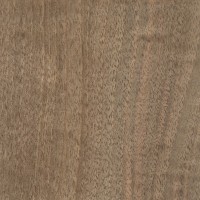 image of the material 'English Walnut'