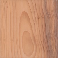 image of the material 'European Yew'