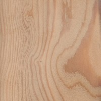 image of the material 'European Larch'
