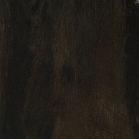 Gaboon Ebony Exotic Wood Blanks 16_spc
