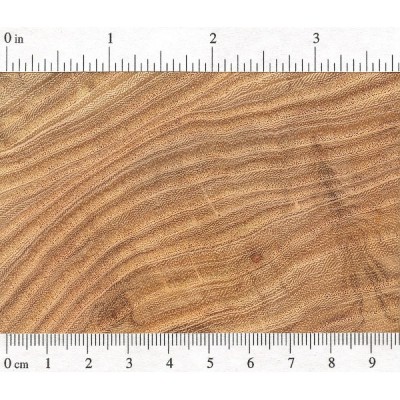 Honey Locust | The Wood Database (Hardwood)