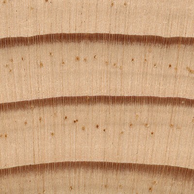 Jack Pine | The Wood Database (Softwood)