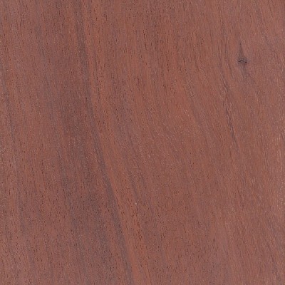 Red Bloodwood | The Wood Database (Hardwood)