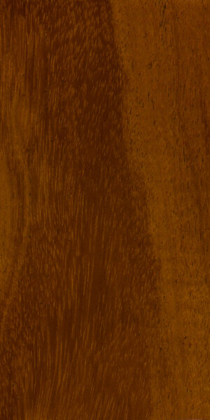 African Mahogany | The Wood Database