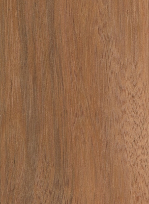 Mora | The Wood Database (Hardwood)