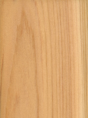 Northern White Cedar | The Wood Database - Lumber Identification (Softwood)