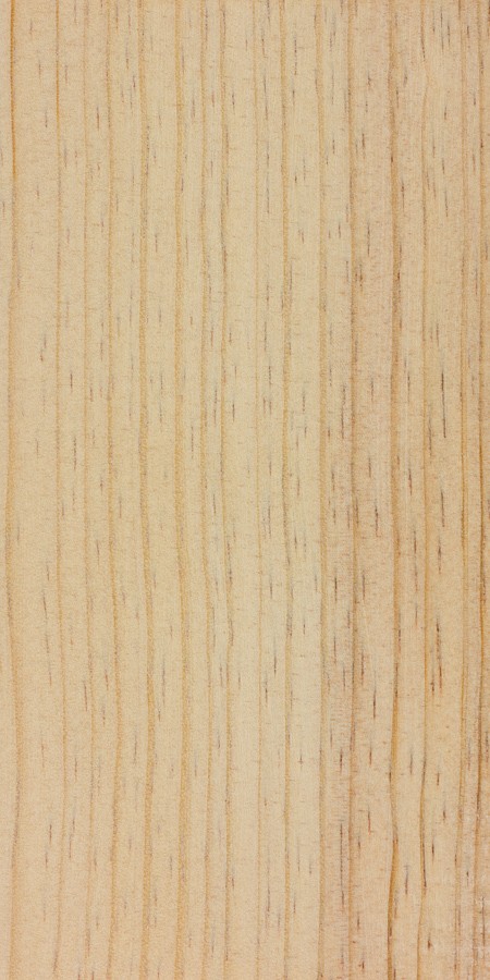 Radiata Pine | The Wood Database (Softwood)