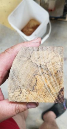 Hardwood Anatomy | The Wood Database