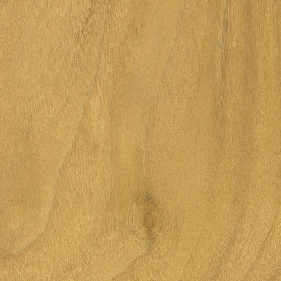 Mulberry | The Wood Database (Hardwood)