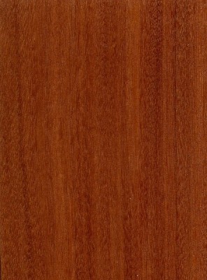 Santos Mahogany | The Wood Database (Hardwood)