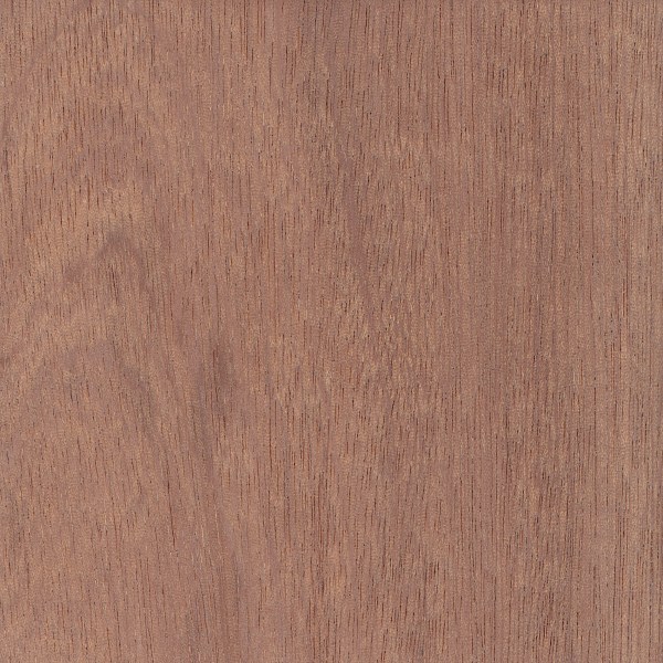 Sapele  The Wood Database - Lumber Identification (Hardwood)