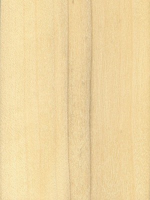 Sweetbay | The Wood Database (Hardwood)