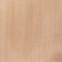 Sycamore Maple | The Wood Database - Lumber Identification (Hardwood)