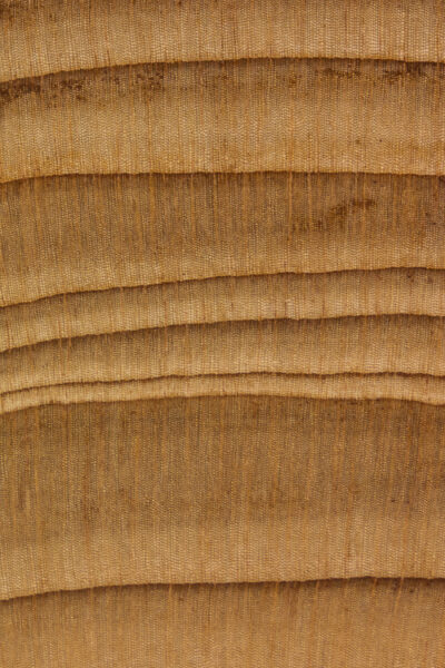 European Yew | The Wood Database (Softwood)