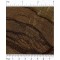 Tigre Caspi | The Wood Database (Hardwood)