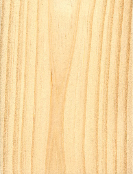 Virginia Pine | The Wood Database - Lumber Identification (Softwood)
